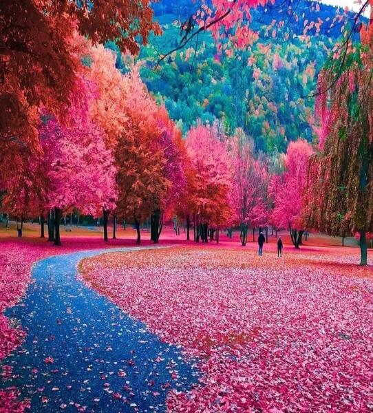 عکس زیبا طبیعی