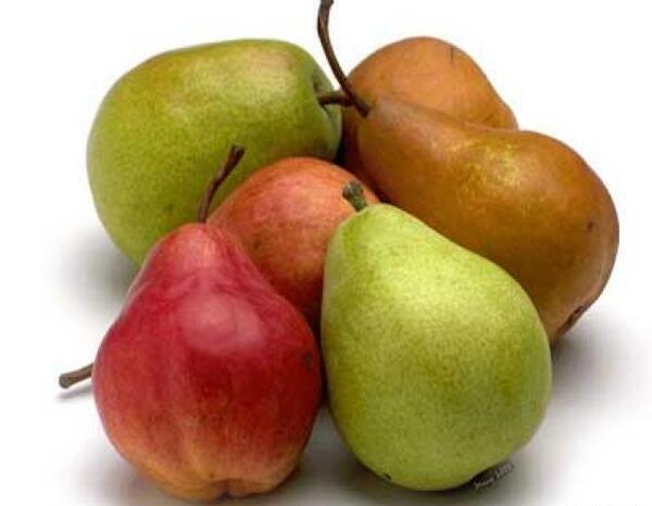 عکس خدیجه گلابی