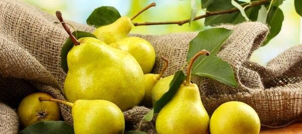 عکس خدیجه گلابی