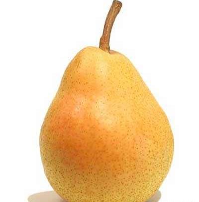 عکس خدیجه گلابی