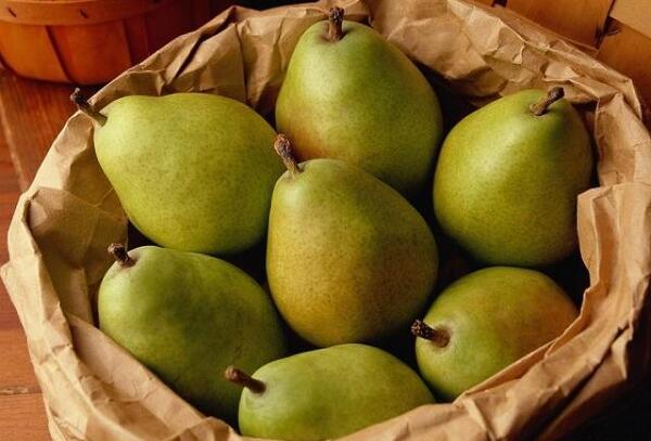 عکس خدیجه گلابی