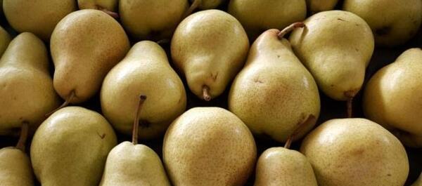 عکس خدیجه گلابی
