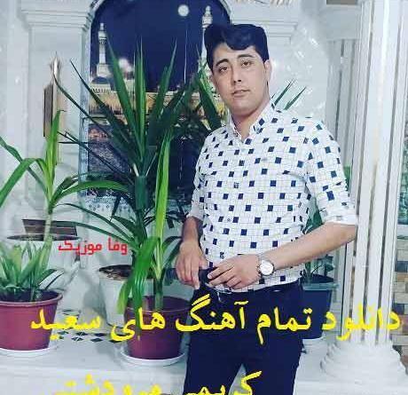 عکس سعید کریمی خواننده