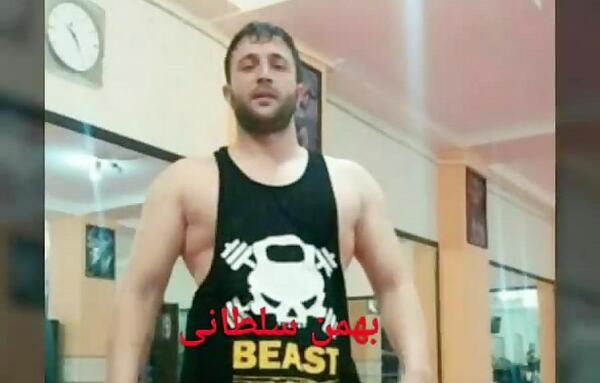 عکس هانیه قداره زنجان
