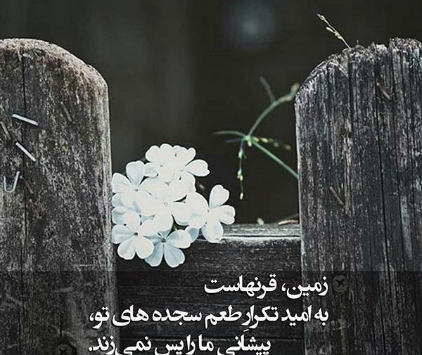 عکس نوشته سجاد زیبا