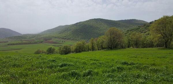 عکس منظره آرامبخش