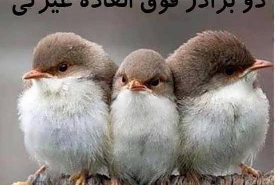 عکس خنده دار همراه با متن