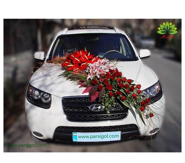 عکس گل رز جلو ماشین