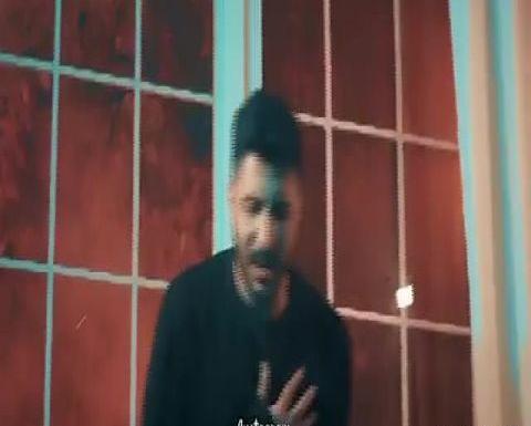 عکس امیر نامور