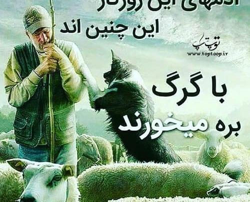 عکس نوشته خدا دنیات ته نامردیه