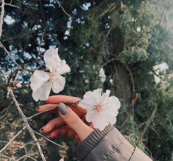 عکس بهاری عاشقانه بدون متن