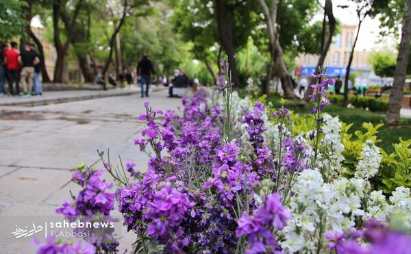 عکس بهار عباسی