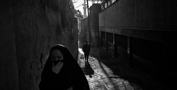 عکس حامد نظری