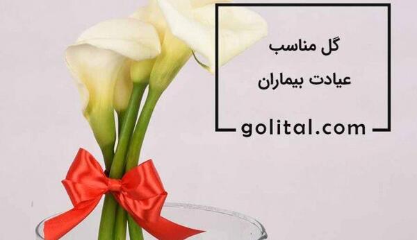 عکس دسته گل در بیمارستان