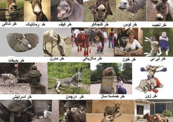 عکس خنده دار قزوینی