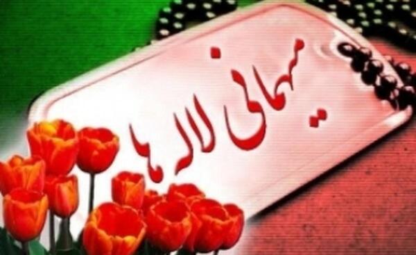 عکس گلزار گل لاله