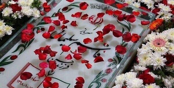 عکس گلزار گل لاله