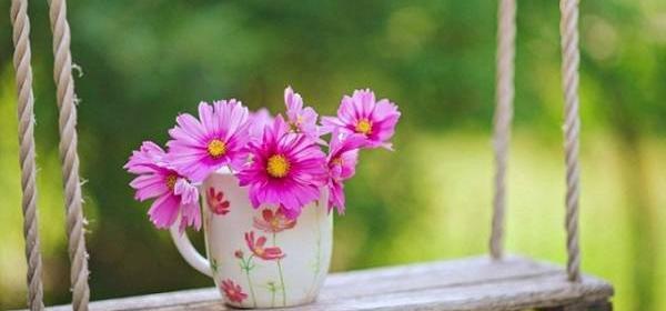 عکس امید به زندگی بدون متن