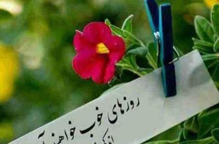 عکس امید به زندگی بدون متن