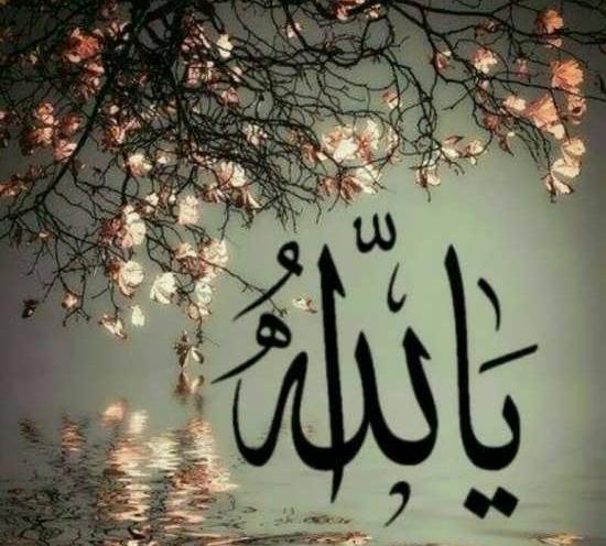 عکس پروفایل الله اکبر