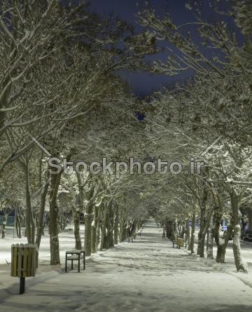 عکس منظره خیابان