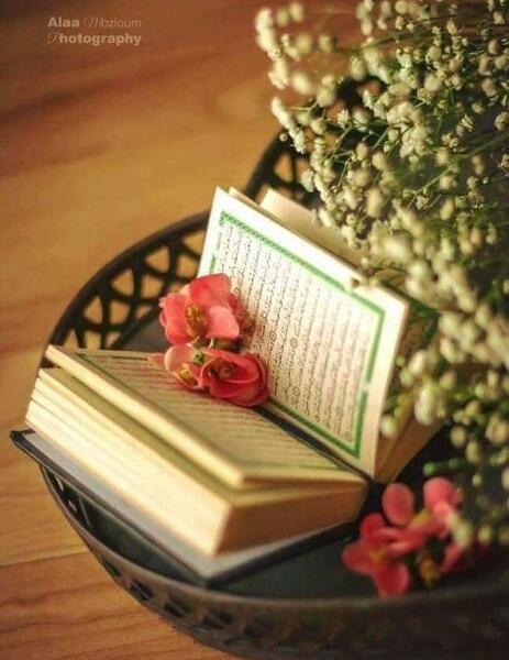 عکس قرآن میخوام