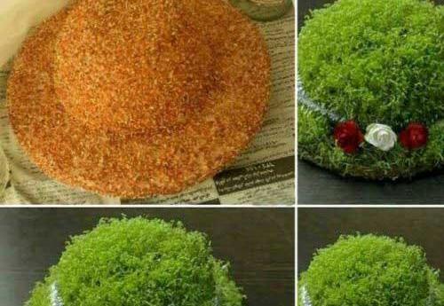 عکس سبزه عید با کنجد