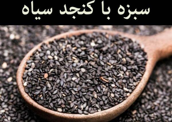 عکس سبزه عید با کنجد