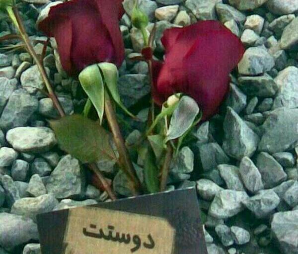 عکس دوست دارم رسول جان