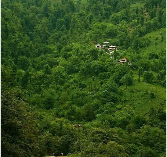 عکس از طبیعت گیلان