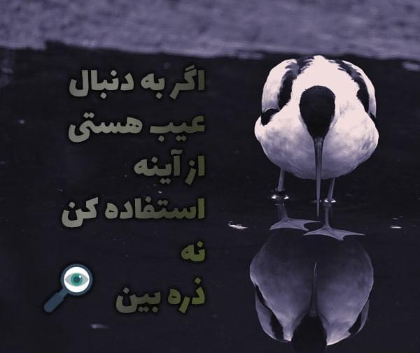 عکس خاص و زیبا در اینستاگرام