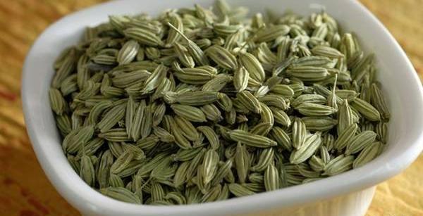عکس و خواص رازیانه