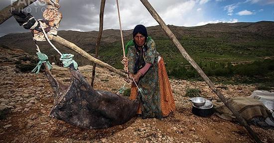 عکس از طبیعت قشقایی