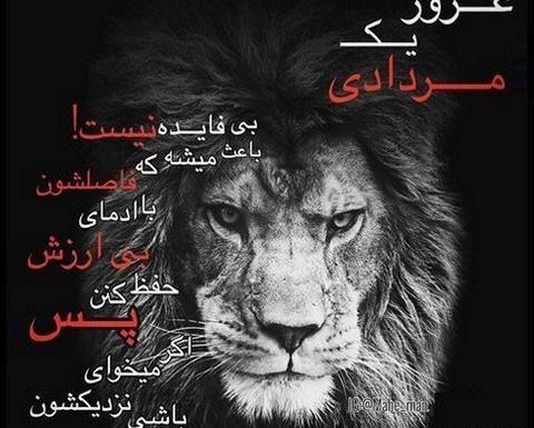 عکس شیر نوشته