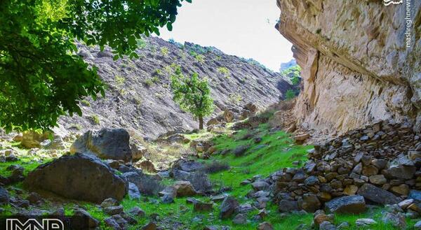 عکس طبیعت لردگان