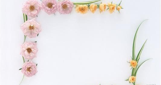 عکس ساده گلی