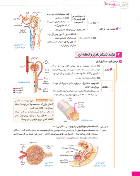 عکس کتاب زیست دهم