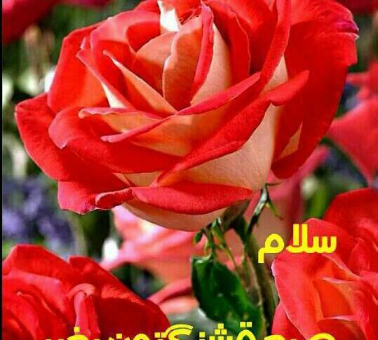 عکس نوشته صبح سه شنبه تون بخیر
