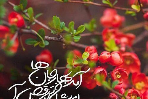 عکس نوشته بهار یعنی