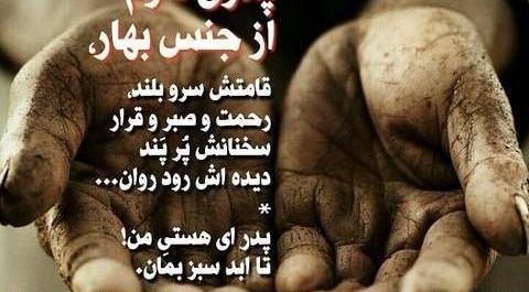 عکس زهره زحمتکش