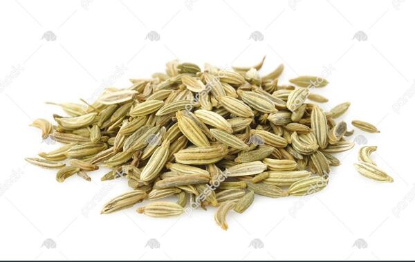 عکس تخمه رازیانه