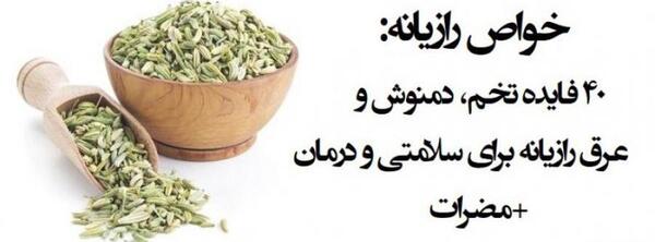 عکس تخمه رازیانه