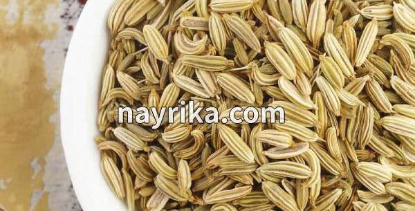 عکس تخمه رازیانه