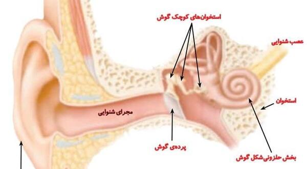 عکس چشم صفحه ۴۶ علوم پنجم