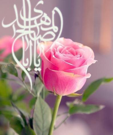 عکس نوشته ابا صالح