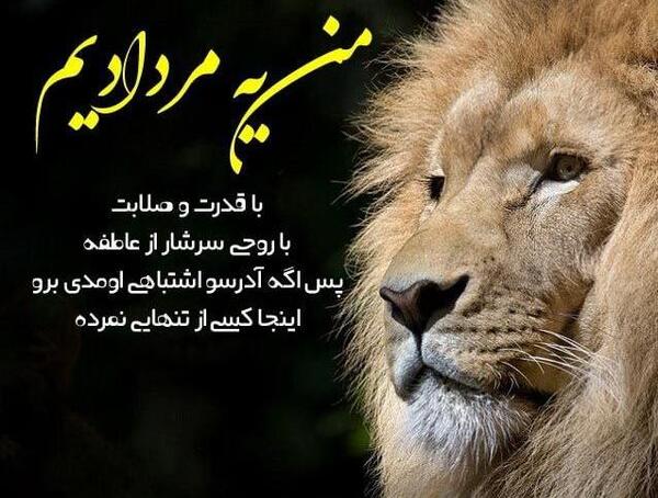 عکس شیر جنگل با متن