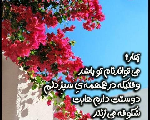 عکس نوشته بهار بی تو