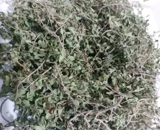 عکس آویشن خشک شده