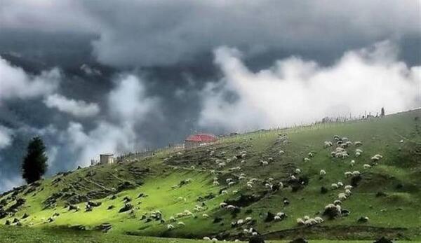 عکس از طبیعت ماسال