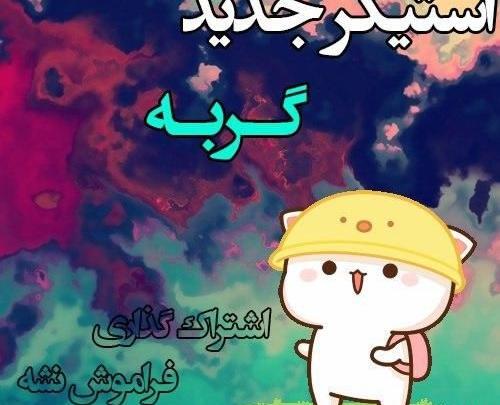 عکس استیکر گربه
